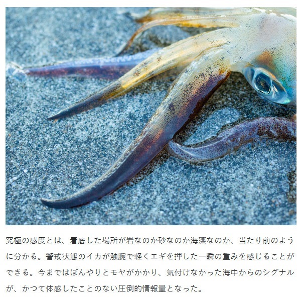 ラグゼ EG X  アルティメイト